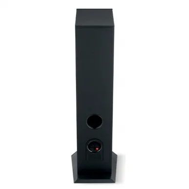 Напольная акустика Focal THEVA N3 BLACK